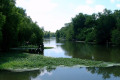 006-Enroute-to-Grand-Isle