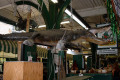 025-French-Market-4