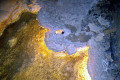 25-Marakoopa-Cave