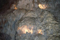 28-Marakoopa-Cave-Great-Cathedral-Cavern
