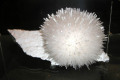035-Mesolite-India-specimen