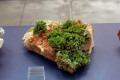 042-Pyromorphite-crystals-China