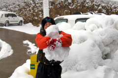 Mt Buller - Victoria, AUSTRALIA July 2003