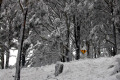 002-another-roadside-view