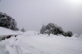 010-Summit-Road