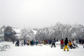 021-Public-Shelter-in-Village-Centre