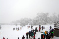 023-Village-Toboggan-Run