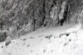 058-mountainside-view-going-down-Mt-Buller