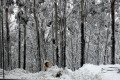 059-going-down-Mt-Buller