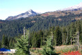 023-Looking-down-from-Paradise-1