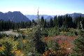 024-Looking-down-from-Paradise-2