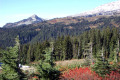 028-Another-view-from-Paradise