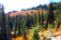 031-Autumn-wildflowers-on-mountainside-3