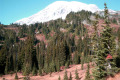 033-Mt-Rainier