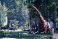 040-Recyle-scrap-metal-park