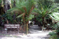 03-Walking-Track-to-Newdegate-Cave