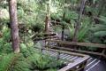 06-Steps-to-Newdegate-Cave