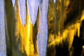 16-Newdegate-Cave