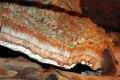 04-Specimen-showing-Phosphate-in-rock-white-layer-beneath-two-layers-of-calcite-and-phosphate-crystals