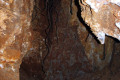 11-Tree-roots-growing-into-the-mine