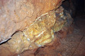 13-Calcite-and-Phosphate-crystals