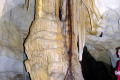 34-Ironbark-tree-roots-growing-among-the-speleothems