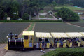 Big-Pineapple-03