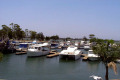 Spinnaker-marina-2