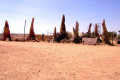 008-Coober-Pedy-petrified-wood