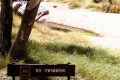 026-Simpsons-Gap-no-swimming-sign