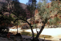 035-NT-Ormiston-Gorge-132-km-west-of-Alice-Springs