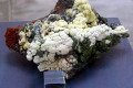Arsendescloizite-cream-Mimetite-Mexico