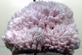 Calcite-2