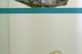 Chalcopyrite-top-Calcite
