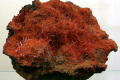 Crocoite-1