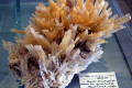 Gypsum-crystal-mass-on-quartzite