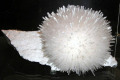 Mesolite-India-specimen