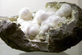 Okenite