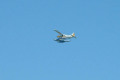018-In-the-sky-over-SF-Bay