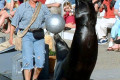 023-another-balancing-act
