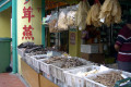 006-Chinatown-Chinese-Medical-store-display-2