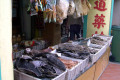 007-Chinese-medicinal-display-section
