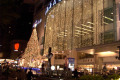 038-Orchard-Rd-Paragon