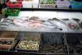093-Fresh-seafood-display