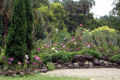 009-Vanda-section
