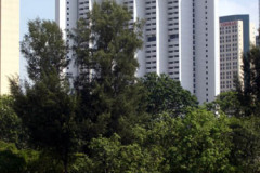 SINGAPORE Revisited - 2004