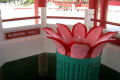 058-wishing-well-on-Kusu-Is