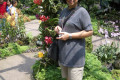 090-Oz-and-orchids