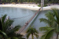 110-rickety-rope-bridge