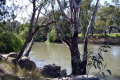 Wagga-Wagga-01-Murrumbidgee-River